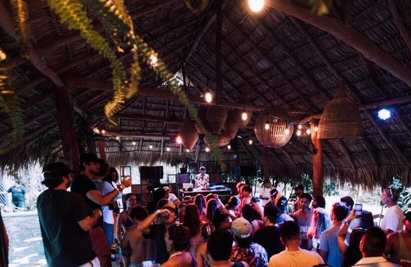 هاستل The Space Jungle Oasis