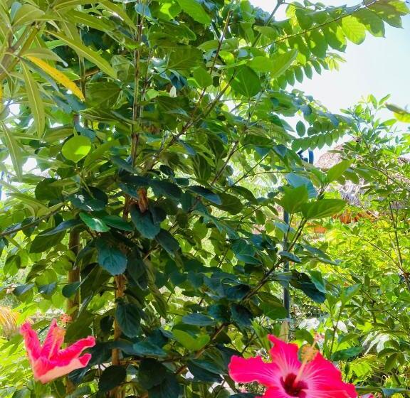 هتل La Costa International