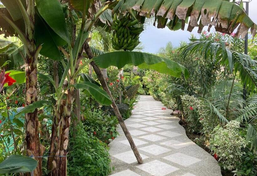 هتل La Costa International