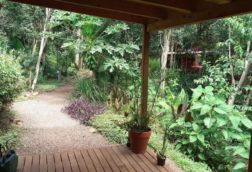 هاستل Yateí House