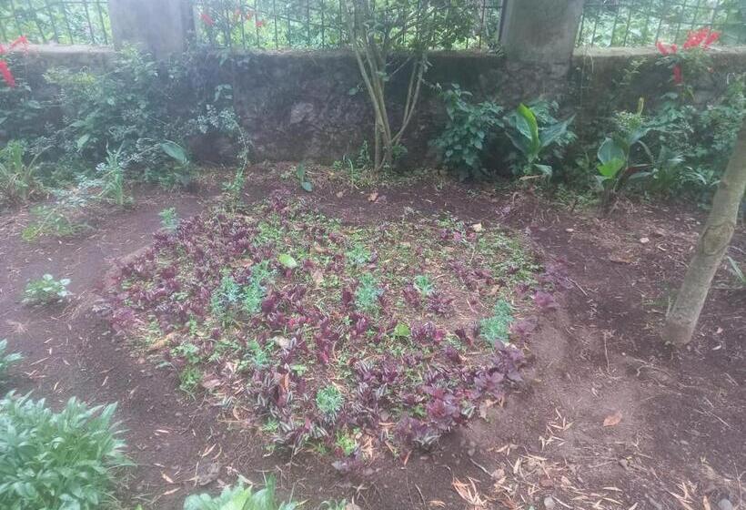 هتل Bruton Resorts