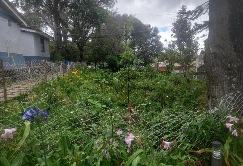 هتل Bruton Resorts