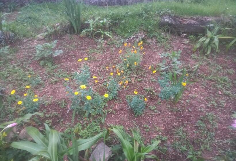 هتل Bruton Resorts