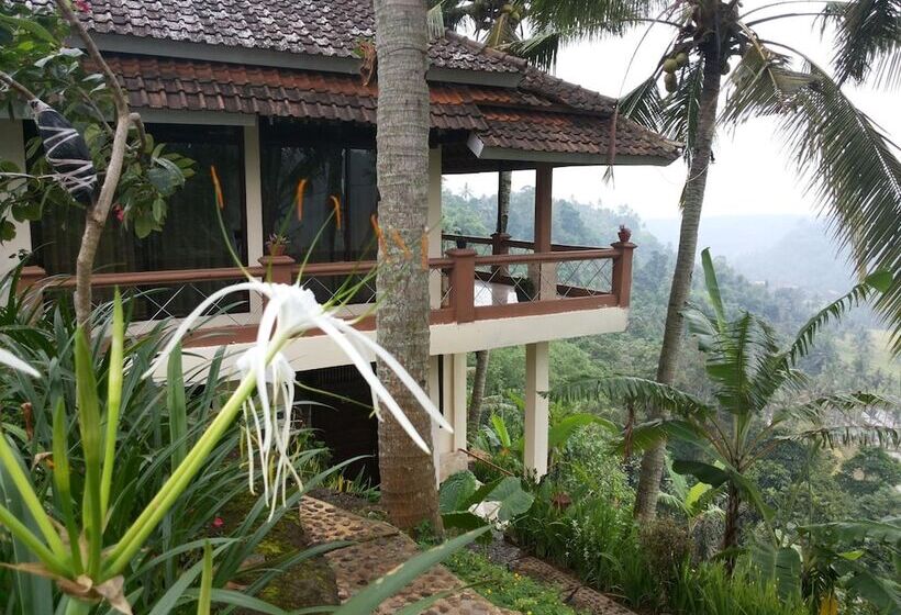 هتل Domisili Ijen Cliff By Fays Hospitality