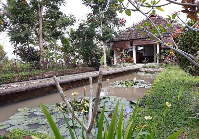 هتل Domisili Ijen Cliff By Fays Hospitality