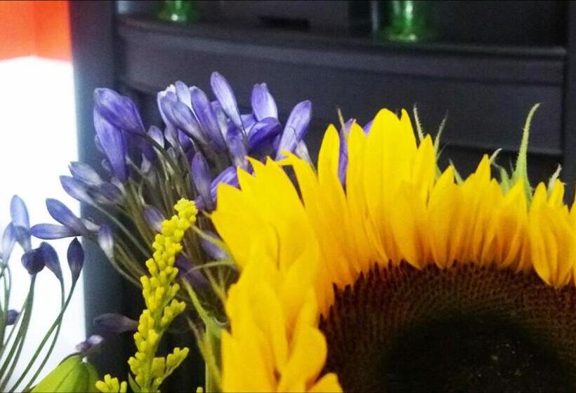 Little Robin Bed And Breakfast