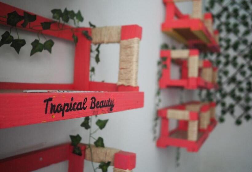 Baboon Hostel