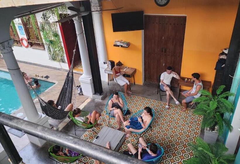 Baboon Hostel