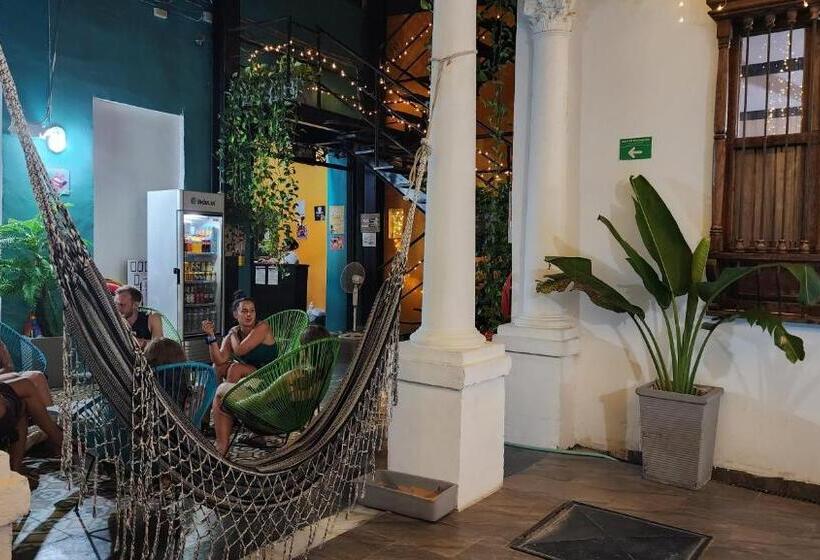 Baboon Hostel