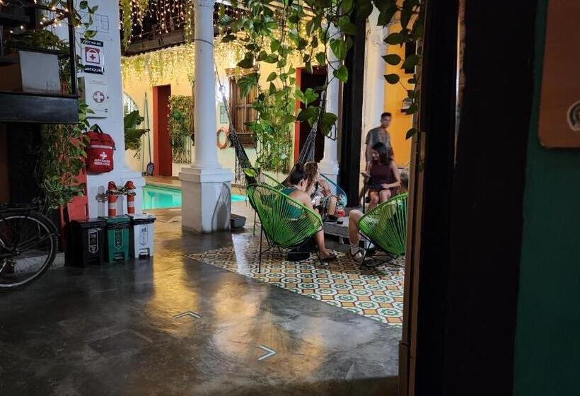 Baboon Hostel