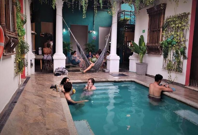 Baboon Hostel