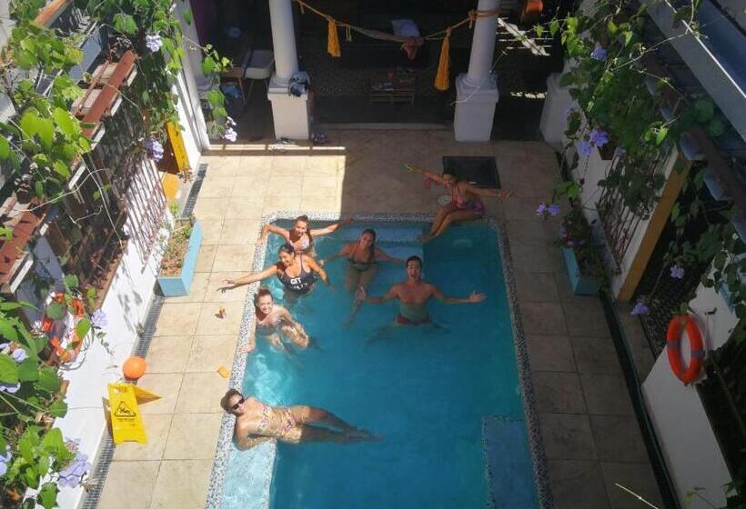 Baboon Hostel
