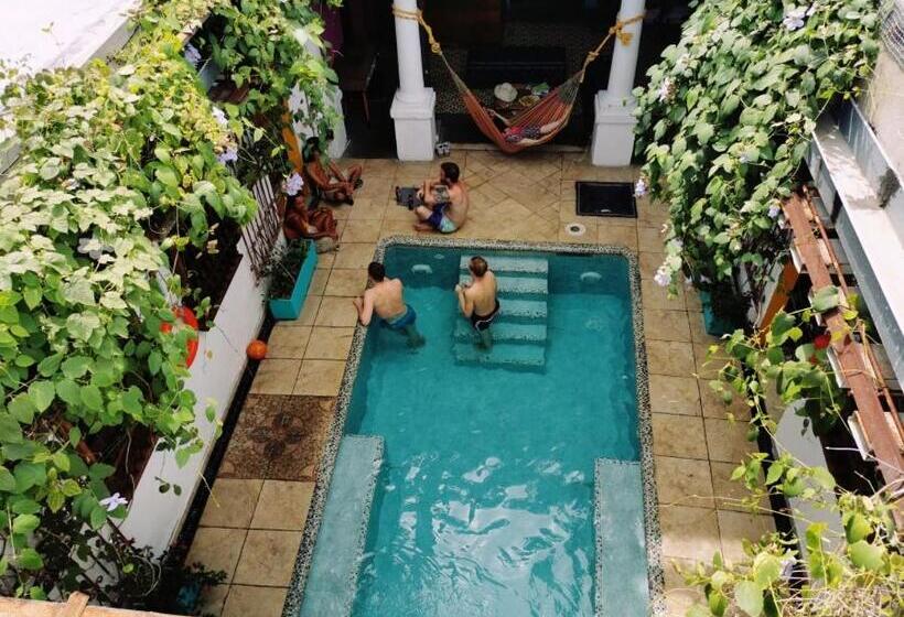Baboon Hostel