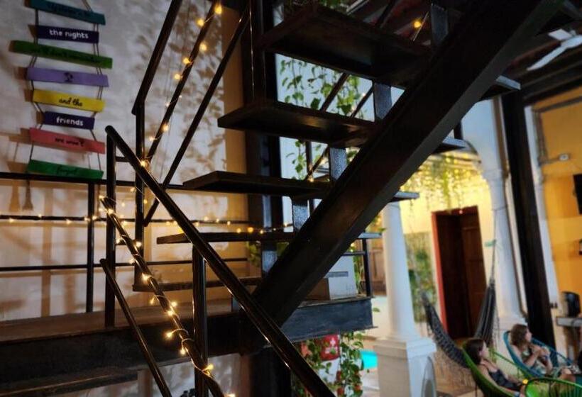 Baboon Hostel