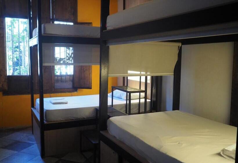 Baboon Hostel