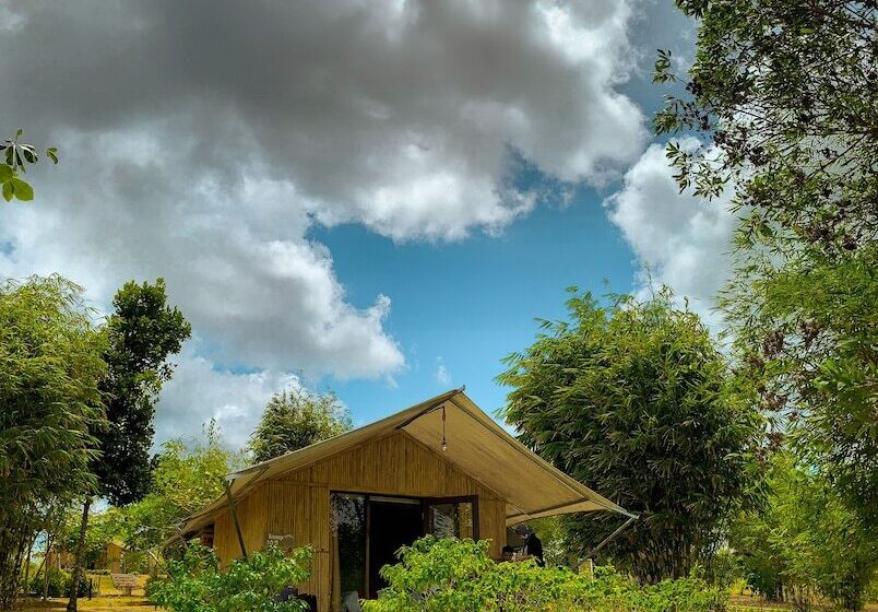 هتل D Bamboo Kamp