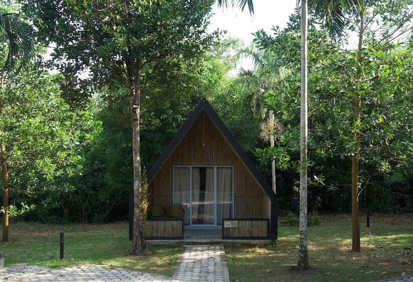 هتل D Bamboo Kamp