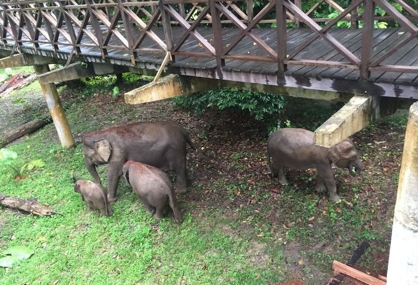 هتل Kawag Nature Lodge