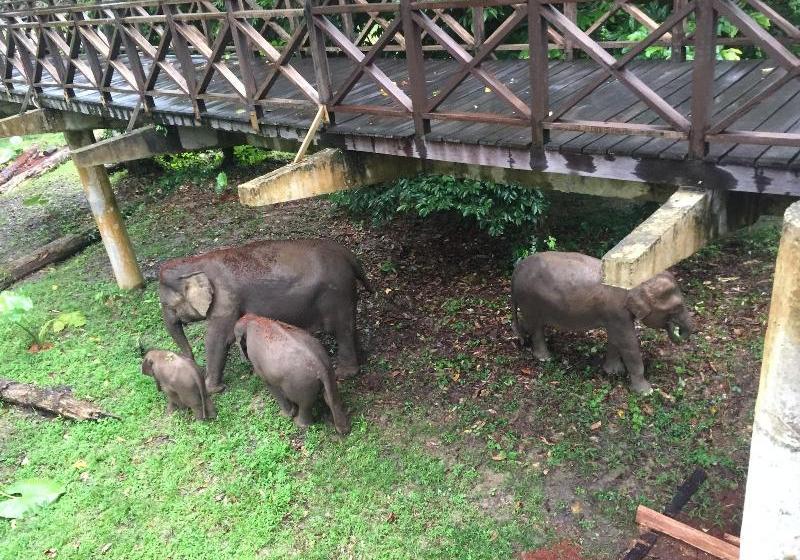 هتل Kawag Nature Lodge