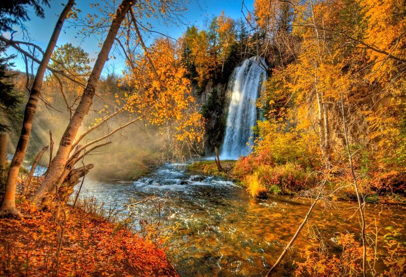 هتل Best Western Black Hills Lodge