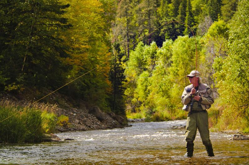 هتل Best Western Black Hills Lodge