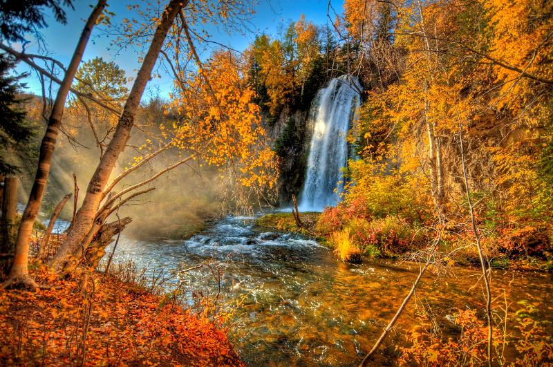 هتل Best Western Black Hills Lodge