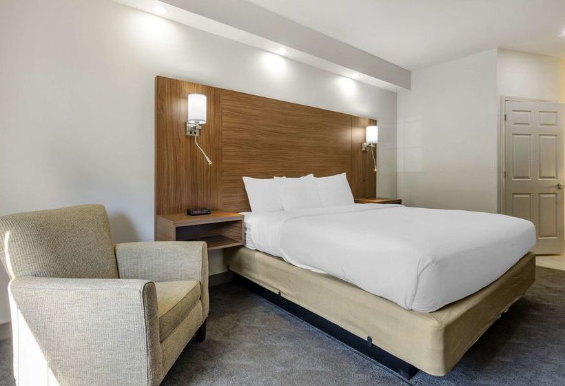酒店 Comfort Inn