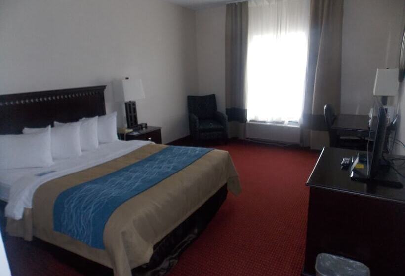 Отель Decatur Inn & Suites