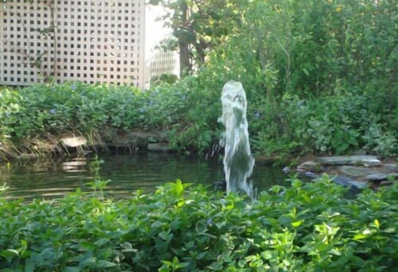 فندق Island Resort