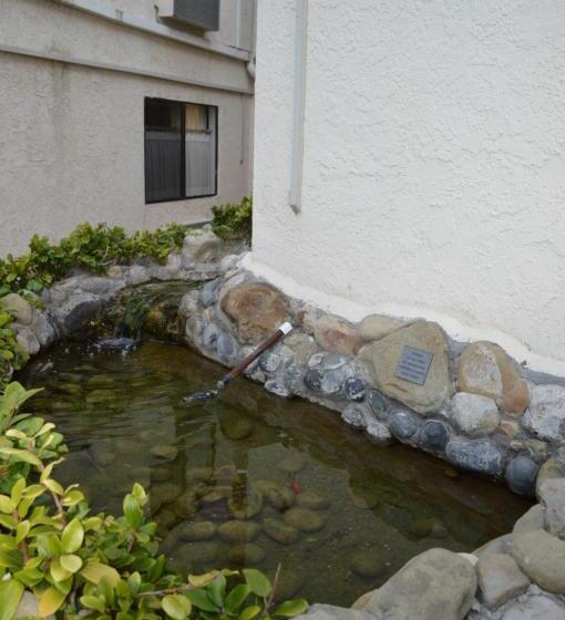 בית מלון כפרי Jolly Roger