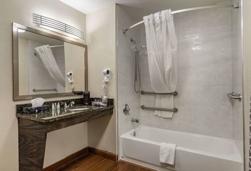 Hotel Quality Inn Conyers I20