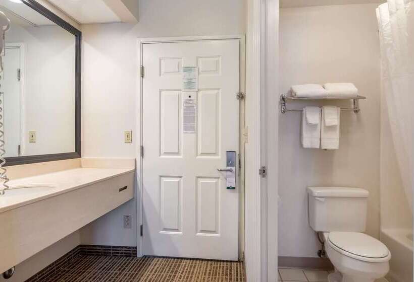 هتل Quality Inn Rome South