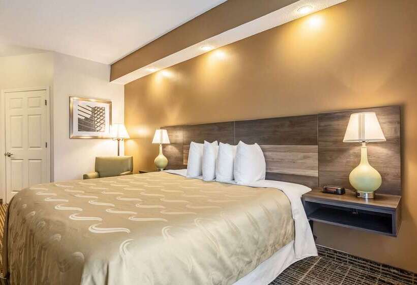 هتل Quality Inn Rome South