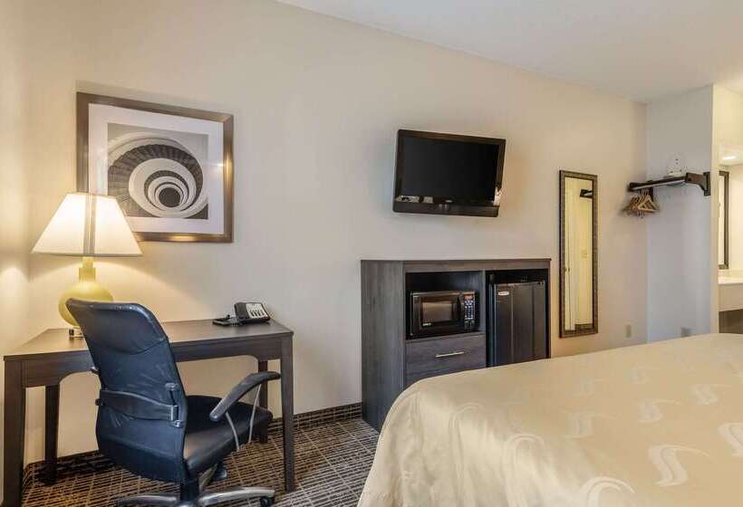 هتل Quality Inn Rome South