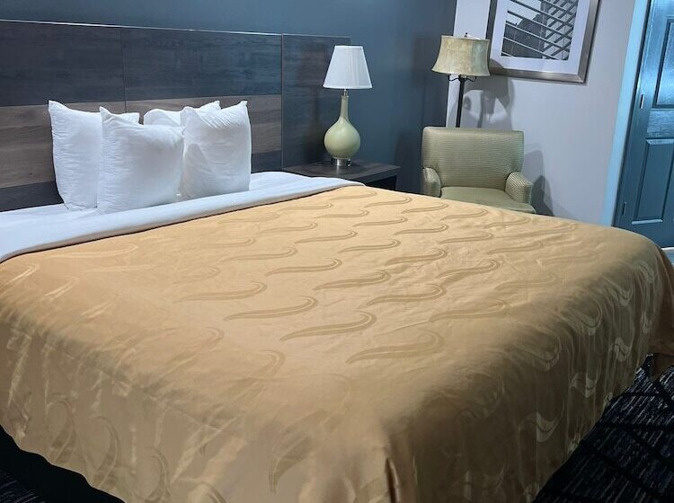 هتل Quality Inn Rome South
