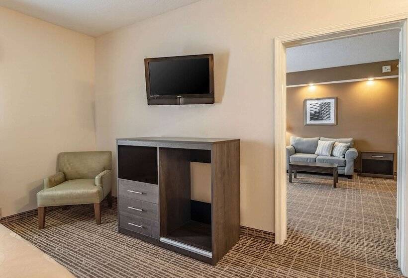 هتل Quality Inn Rome South