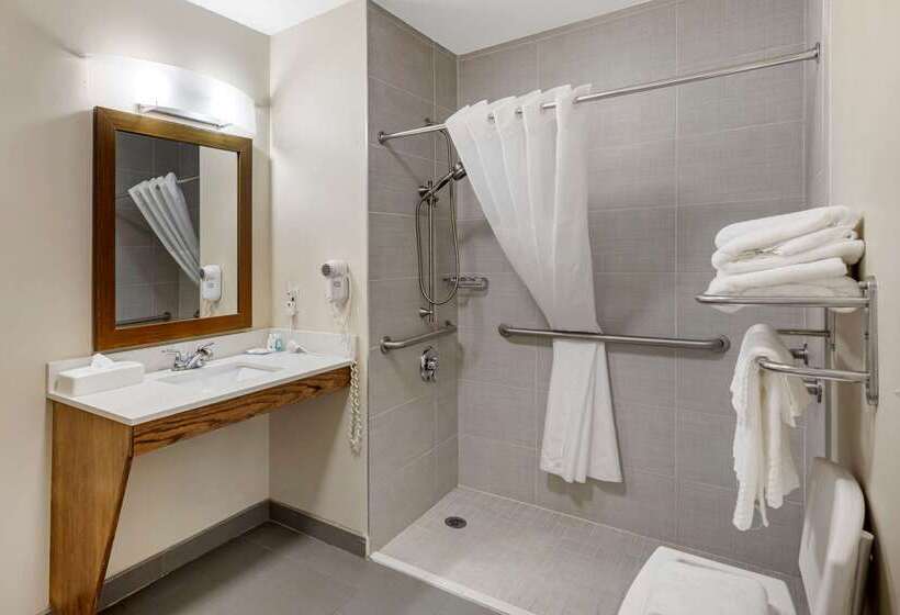 ホテル Quality Inn Seneca Us123