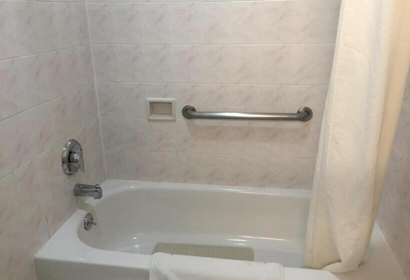 هتل Regency Inn At San Francisco Airport