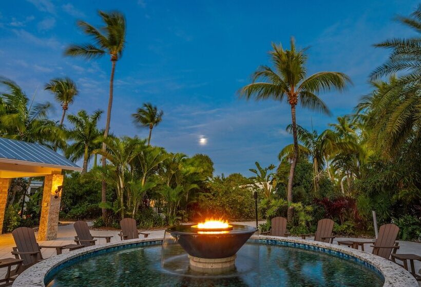 فندق على الطريق Islander Resort