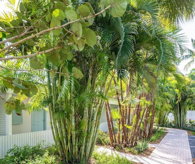 فندق على الطريق Islander Resort