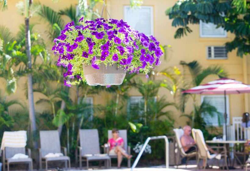 אתר נופש Inn At The Beach