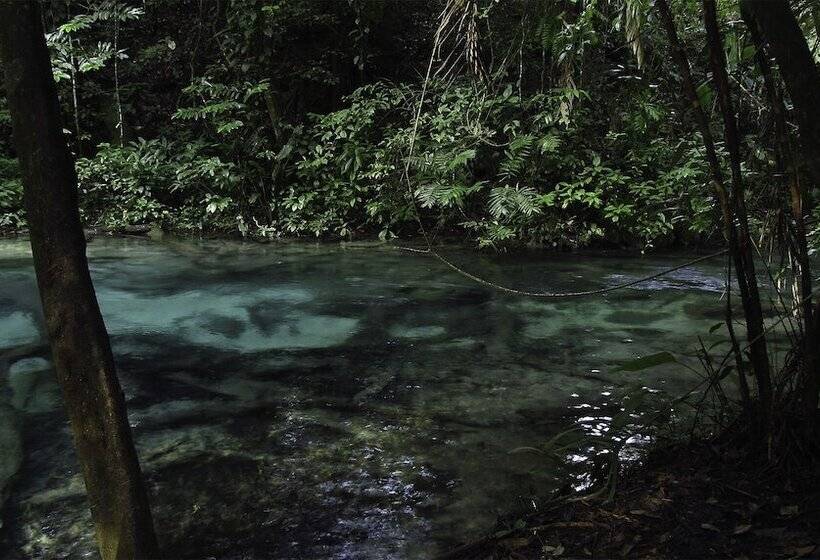 هتل Campamento Rio Lacanja