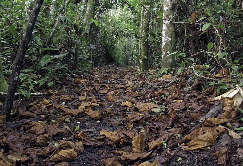 هتل Campamento Rio Lacanja