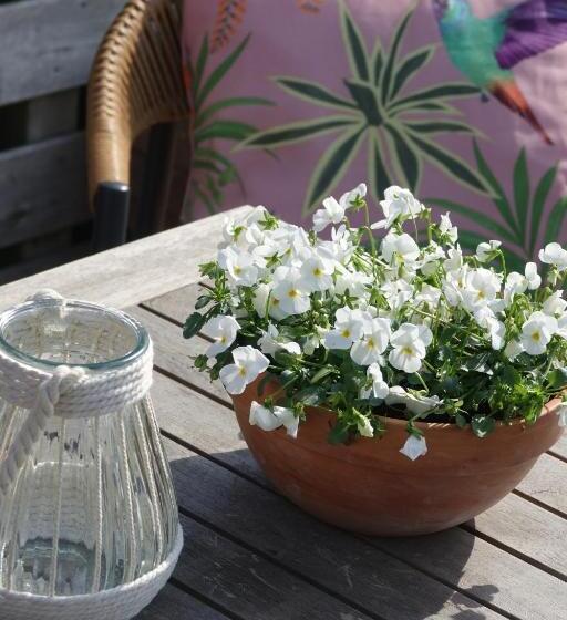 בית מלון כפרי Het Anker Van Texel