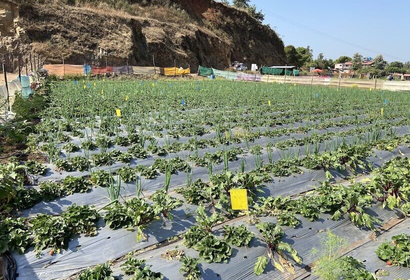 هتل Lake Paradise Mahabaleshwar
