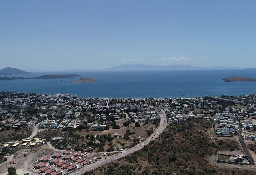 Palmiye Tepesi