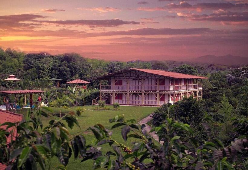 هاستل Socialtel Filandia