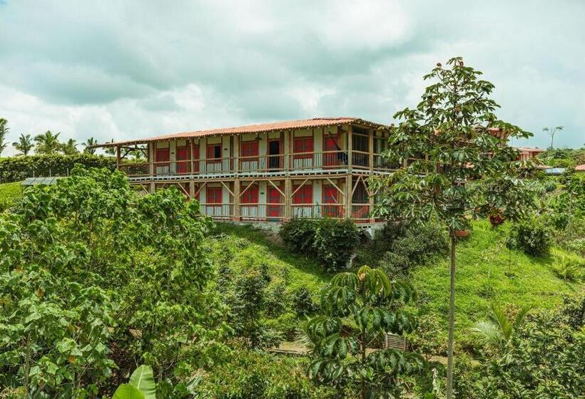 هاستل Socialtel Filandia