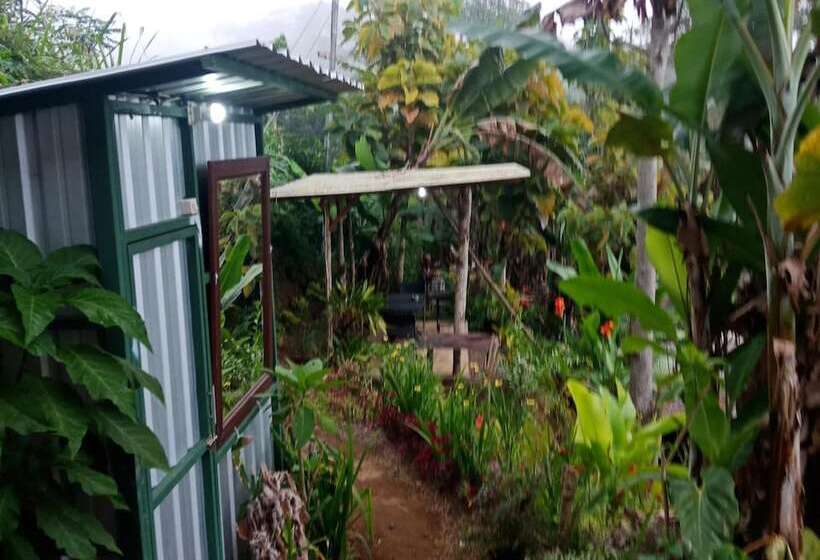 酒店 Ecocamp Bedugul