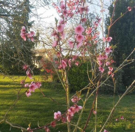 ベッドアンドブレックファースト Chambres D Hôtes Anne Marie